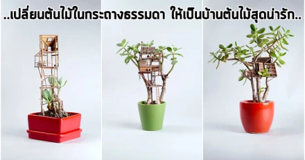 เปลี่ยนต้นไม้ในกระถางธรรมดา ให้เป็นบ้านต้นไม้สุดน่ารัก