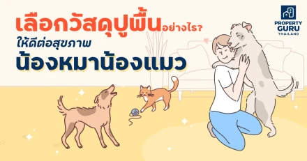 เลือกวัสดุปูพื้นอย่างไร? ให้ดีต่อสุขภาพน้องหมาน้องแมว