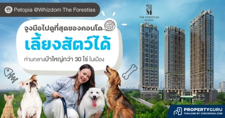 จูงมือไปดู Whizdom The Forestias PETOPIA คอนโดเลี้ยงสัตว์ได้ ที่สมบูรณ์แบบที่สุดในไทย ท่ามกลางป่าใหญ่กว่า 30 ไร่ในเมือง