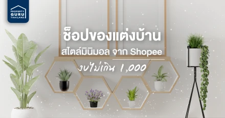 ช็อปของแต่งบ้านจาก shopee ด้วยงบไม่เกิน 1,000 แปลงโฉมบ้านให้เป็นสไตล์มินิมอล