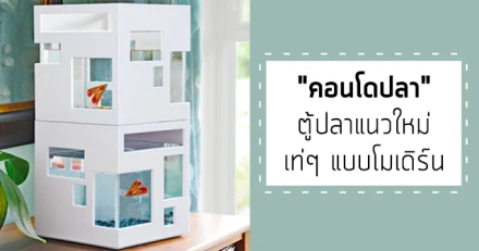 "คอนโดปลา" ตู้ปลาแนวใหม่ เท่ๆ แบบโมเดิร์น