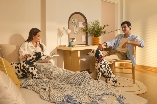 โมเดน เอพี (ไทยแลนด์)