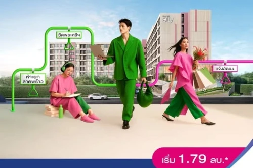 เคฟ แอสเซทไวส์ เคฟ แอสเซทไวส์