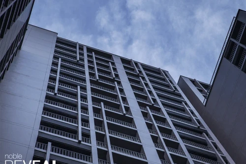 โนเบิล รีวีล โนเบิลดีเวลลอปเม้นท์