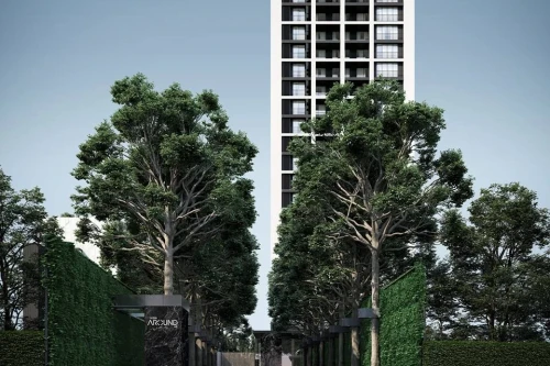 โนเบิล อราวน์ โนเบิลดีเวลลอปเม้นท์