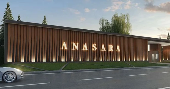 รูปภาพ อาณาสรา (Anasara)