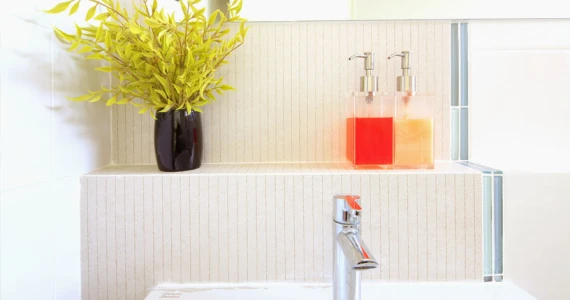 รูปภาพ อินดี้ ประชาอุทิศ (2) (Indy Prachauthit 2)