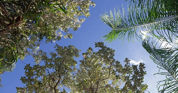 รูปภาพ เอคิว เชดิ พหลโยธิน-รังสิต (AQ Shadi Phaholyothin-Rangsit)