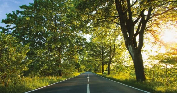 รูปภาพ เลค วัลเลย์ (Lake Valley)