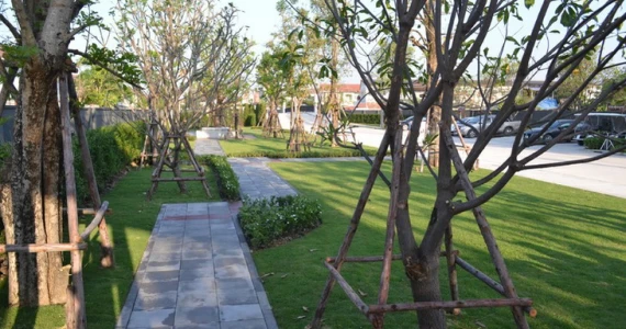 รูปภาพ บ้านพฤกษา ไพร์ม รังสิต - คลอง 3 (Bann Pruksa Prime Rangsit - Klong 3)