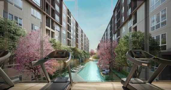 รูปภาพ ดีคอนโด แคมปัส กำแพงแสน (dcondo Campus Kampangsaen)