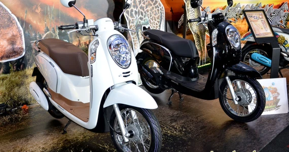 รูปภาพ ฮอนด้า Honda Scoopy i Prestige Guy 2014 ACF110SFF (3TH) ปี 2014