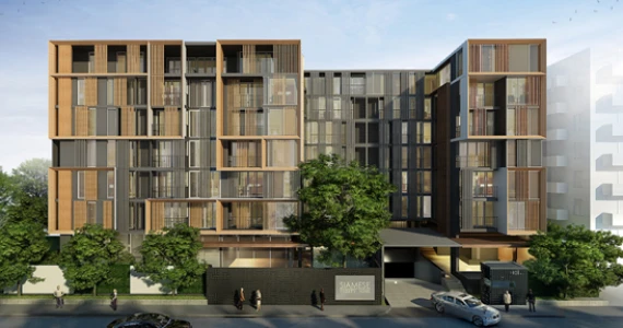 รูปภาพ ไซมิส เทอร์ตี้ ไนน์ (Siamese Thirty Nine)