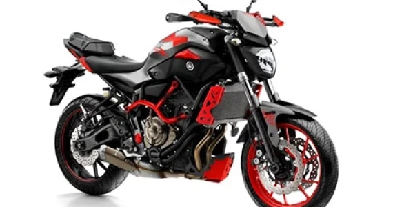 รูปภาพ ยามาฮ่า Yamaha MT-07 Moto Cage ปี 2016
