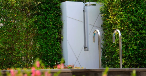 รูปภาพ อินดี้ ประชาอุทิศ (2) (Indy Prachauthit 2)