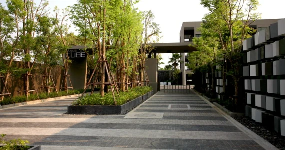 รูปภาพ โนเบิล คิวบ์ (Noble Cube)