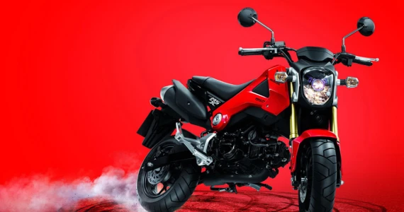 รูปภาพ ฮอนด้า Honda MSX125 MSX125D TH ปี 2013