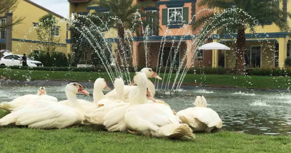 รูปภาพ โกลเด้น ทาวน์ ศรีราชา-อัสสัมชัญ (Golden Town Sriracha - Assumption)