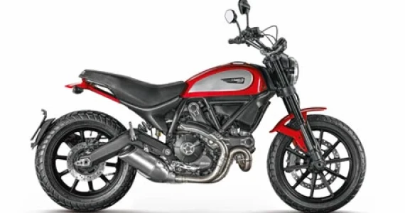 รูปภาพ ดูคาติ Ducati Scrambler Icon ปี 2014