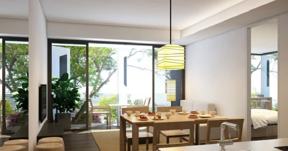 รูปภาพ ไซมิส จอยญ่า (Siamese Gioia)