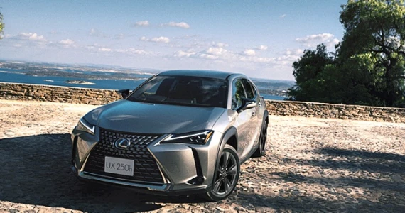 รูปภาพ เลกซัส Lexus UX 250h Luxury ปี 2019