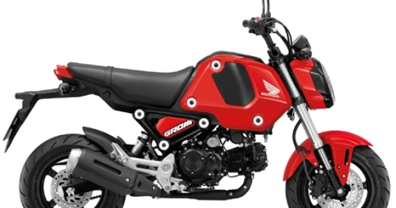รูปภาพ ฮอนด้า Honda MSX125 GROM (STD) ปี 2020