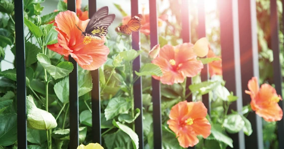 รูปภาพ มัณฑนา อ่อนนุช-วงแหวน 3 (Manthana Onnut-Wongwan 3)