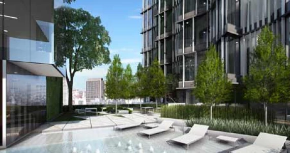 รูปภาพ ไซมิส ราชครู (Siamese RatchaKru)