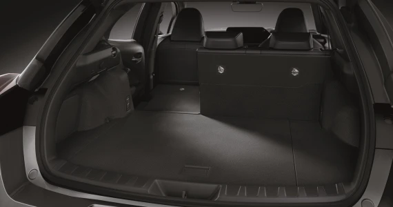 รูปภาพ เลกซัส Lexus UX 300h ปี 2024