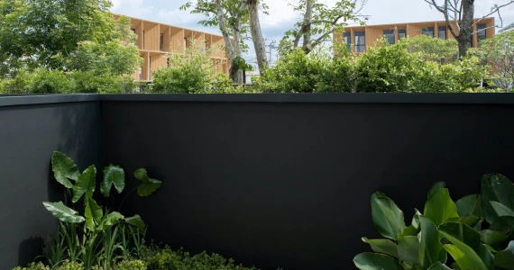 รูปภาพ พลูม วัชรพล-เอกมัย (Plume Watcharaphon-Ekkamai)