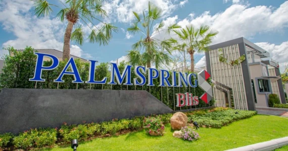 รูปภาพ ปาล์มสปริงส์ บลิส (Palmspring Blis)