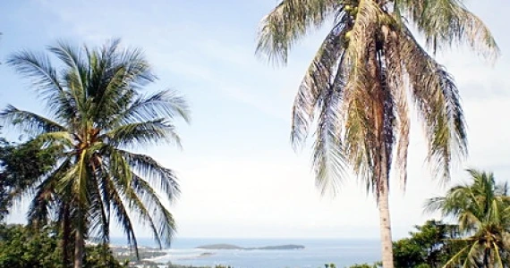 รูปภาพ ล้านดารา สมุย (Laandara Samui)