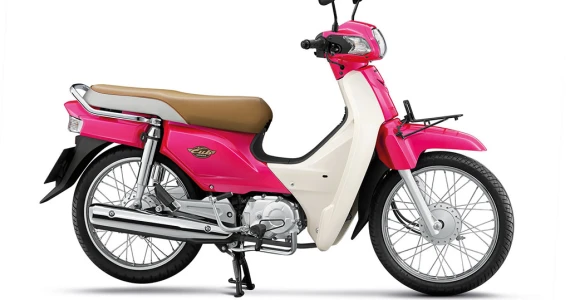 รูปภาพ ฮอนด้า Honda Super Cub Standard 2016 ปี 2016
