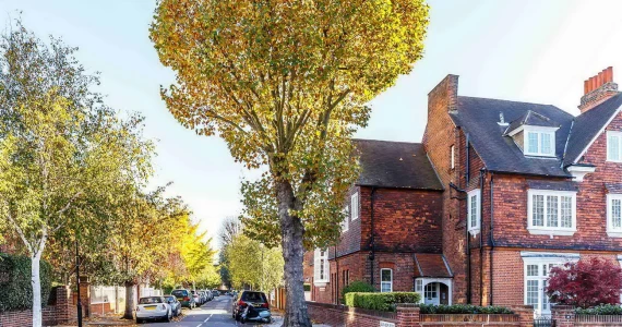 รูปภาพ อินดี้ บางใหญ่ 2 (Indy Bangyai 2)