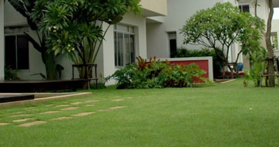 รูปภาพ เดอะ เวอรีเดียน โฮม กาญจนาภิเษก-ปิ่นเกล้า (The Viridian Home Kanjanaphisek-Pinklao)