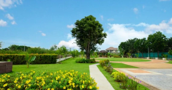 รูปภาพ พิมานชล บูเลอวาร์ด (Pimanchon Boulevard)