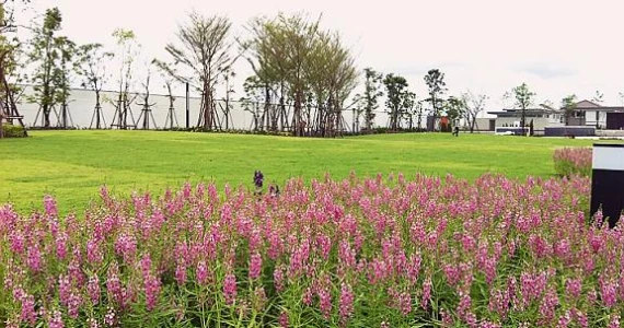 รูปภาพ อินนิซิโอ ปิ่นเกล้า-ศาลายา (Inizio Pinklao-Salaya)