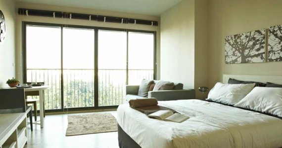 รูปภาพ โนเบิล โซโล (Noble Solo)