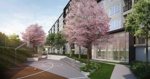 รูปภาพ ดีคอนโด แคมปัส กำแพงแสน (dcondo Campus Kampangsaen)