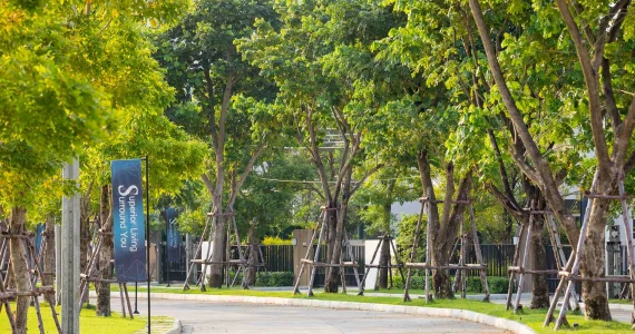 รูปภาพ มัณฑนา เวสต์เกต (Mantana Westgate)