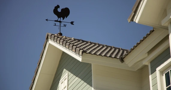 รูปภาพ บุราสิริ ปัญญาอินทรา (Burasiri Panyaindra)