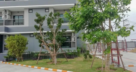 รูปภาพ พี.เจ. เอราวัณ คอนโด บางนา กม.39 (P.J. Erawan Condo Bangna km.39)