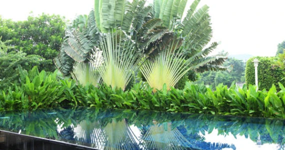 รูปภาพ เดอะ สตาร์ เอสเตท พัฒนาการ 69 (The Star Estate)