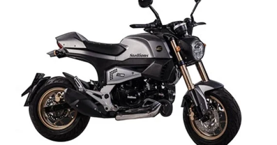 รูปภาพ สตาเลียน Stallions VTR 125 ปี 2016