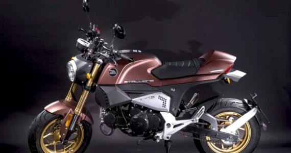 รูปภาพ สตาเลียน Stallions VTR 125 ปี 2016
