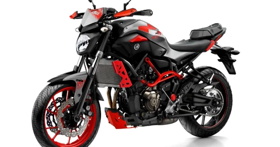 รูปภาพ ยามาฮ่า Yamaha MT-07 Moto Cage ปี 2016