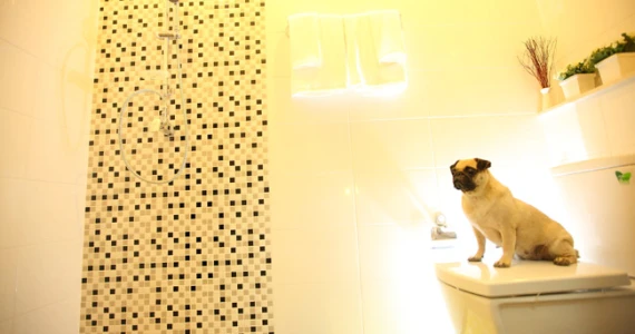 รูปภาพ ซิตี้เซนส์ วัชรพล (Citysense Watcharaphon)