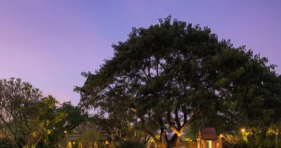 รูปภาพ 99 เรสซิเดนซ์ พระราม 9 (99 Residence Rama 9)