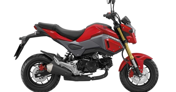 รูปภาพ ฮอนด้า Honda MSX125 SF ปี 2016