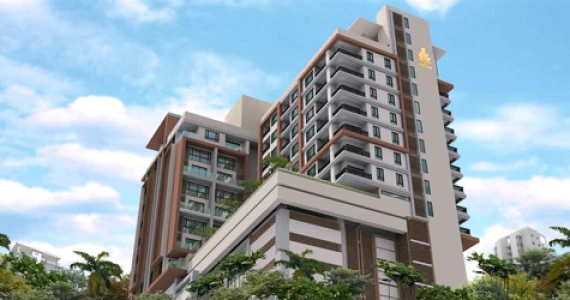 รูปภาพ เดอะ ชายน์ (The Zign)